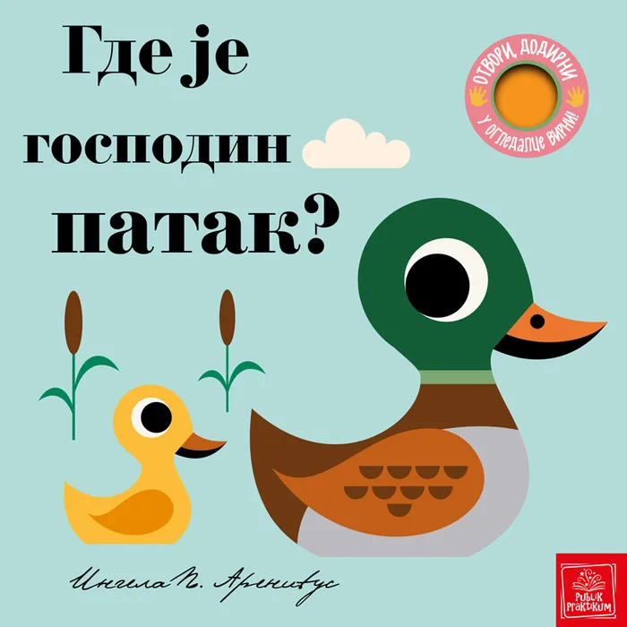 Flap Book “Where Is Mr. Duck?”