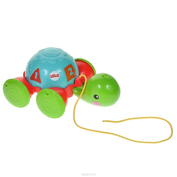 Pull-Along Turtle Toy