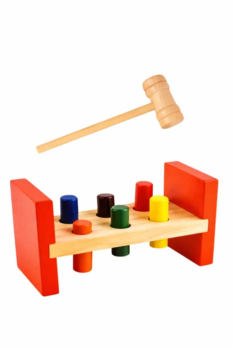 Wooden Sorting and Pounding Toy