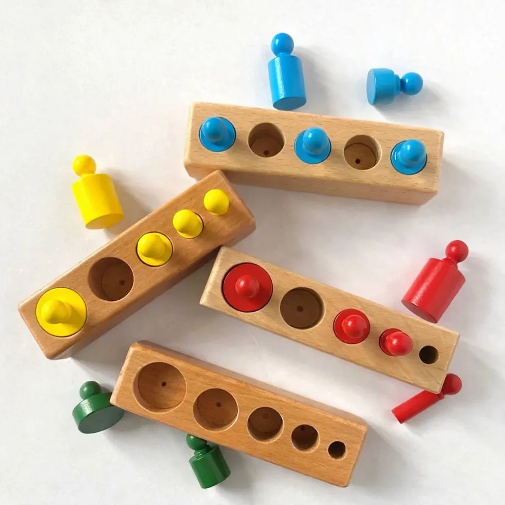 Montessori Cylinders Sorter